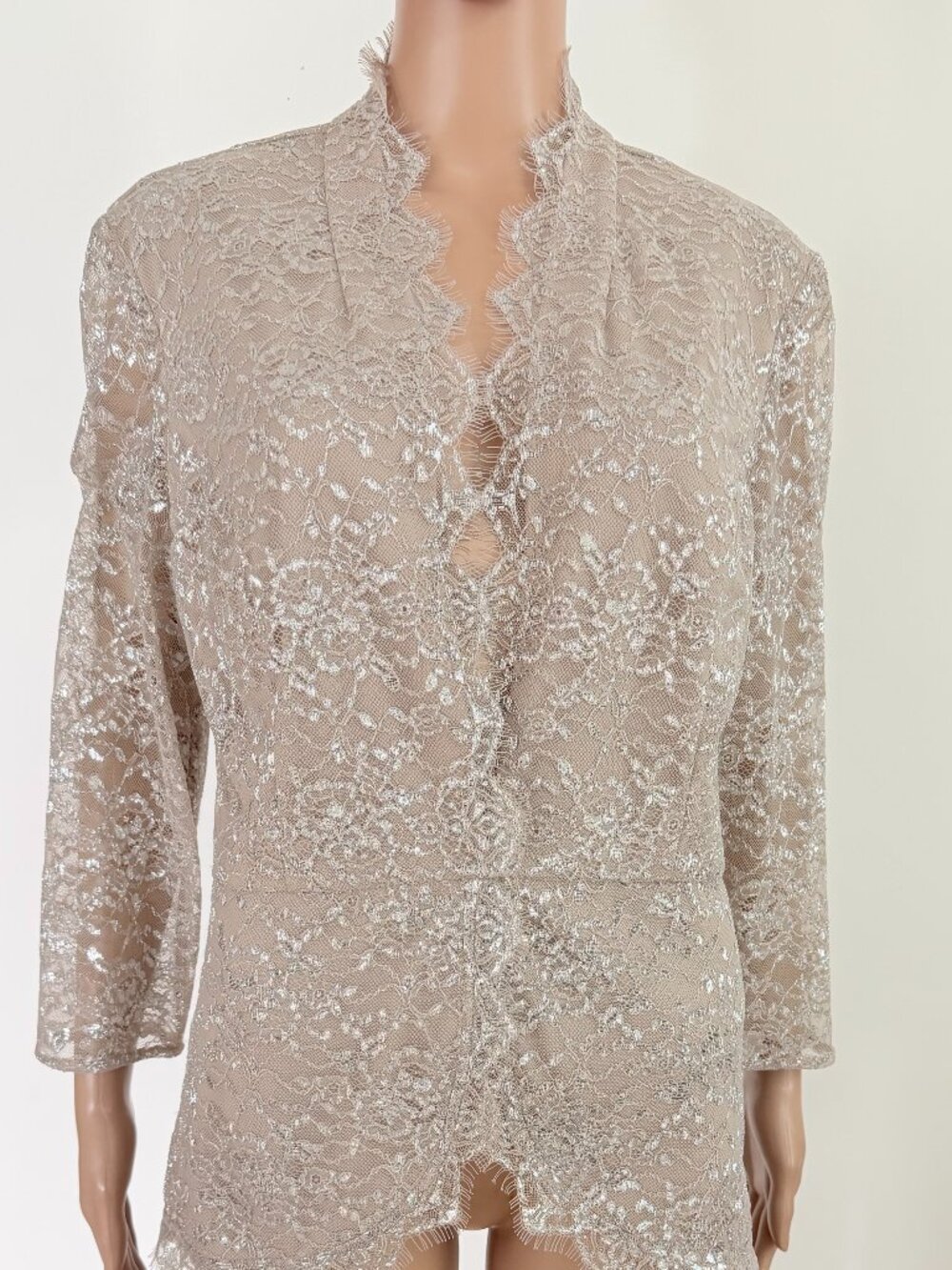 Alex Evenings Lace Champagne Taupe Formal Dressy Top Sparkly Sz Large - Picture 2 of 8